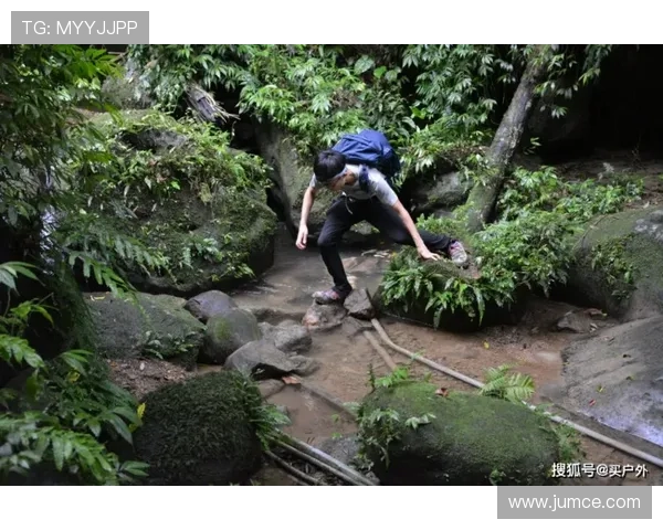 初学者登山全攻略从入门准备到安全技巧详解